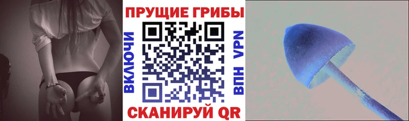 Псилоцибиновые грибы GOLDEN TEACHER  blacksprut как войти  Альметьевск  где купить  
